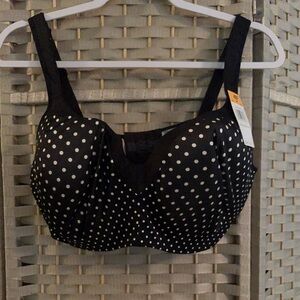 PLAYTEX Sexy Polka Dots 40DD Bra